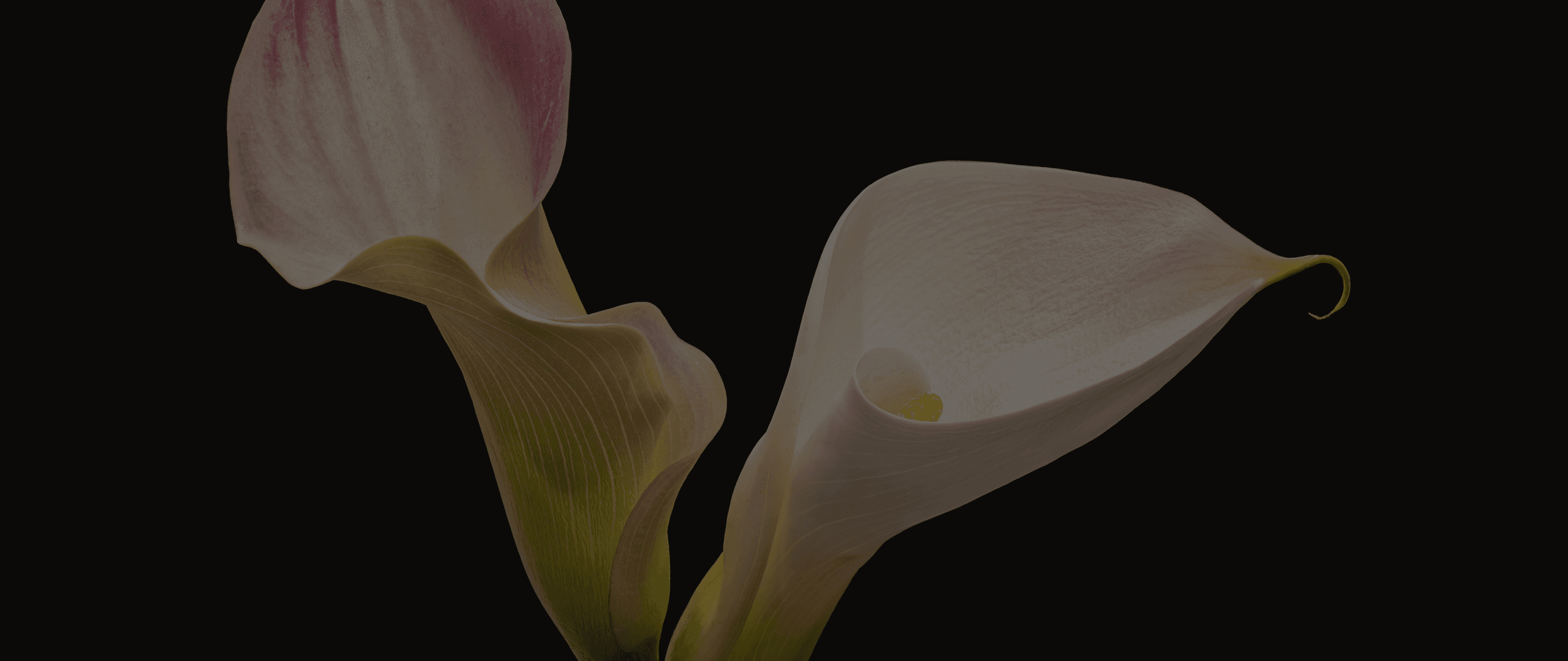 L’medique Reservation